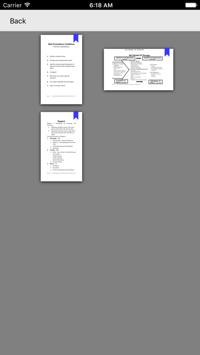 NLP Expert screenshot 1