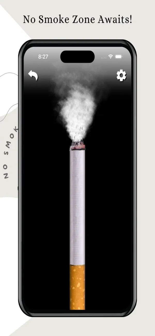 No Smoke Zone screenshot 3