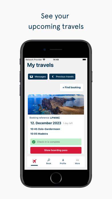 Norwegian Travel Assistant screenshot 3