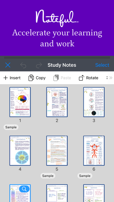 Noteful: Notes & PDF Markup screenshot 1