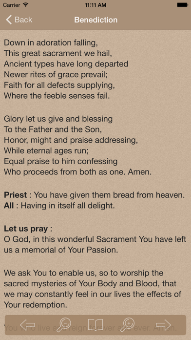 Novena to Our Lady of Perpetual Help screenshot 1
