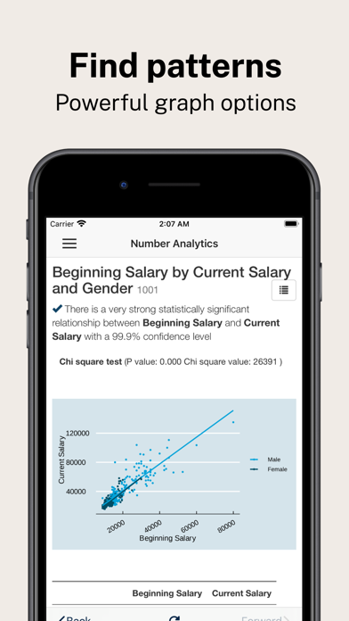 Number Analytics screenshot 2
