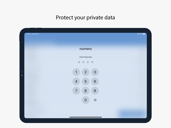 Numero: Personal Finance screenshot 3