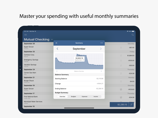 Numero: Personal Finance screenshot 7