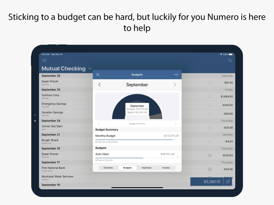 Numero: Personal Finance screenshot 6