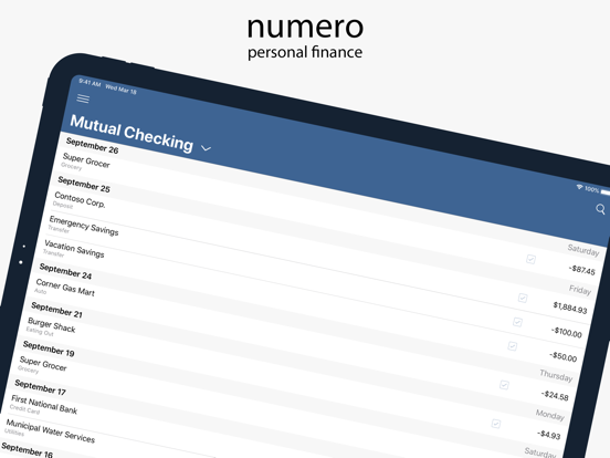 Numero: Personal Finance screenshot 10