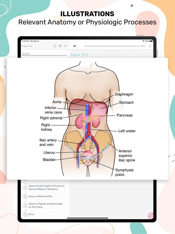 Nurses' HBK Health Assessment screenshot 8