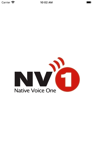 NV1 screenshot 5