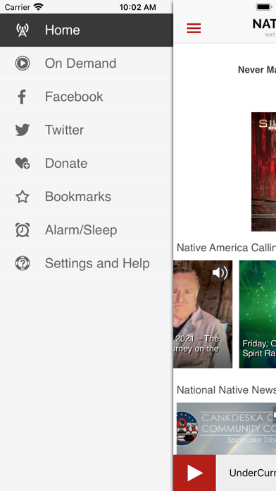 NV1 screenshot 2