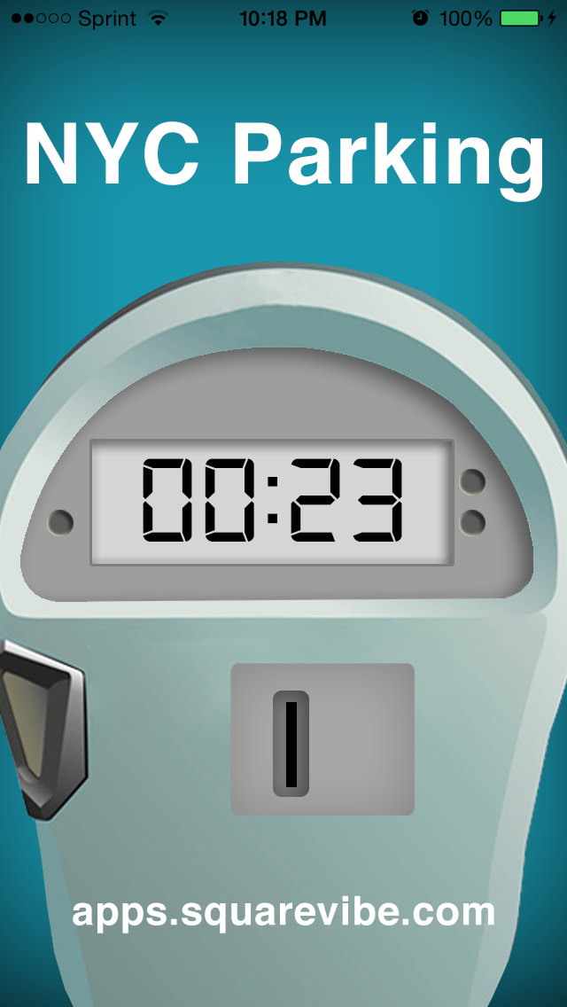 NYC Parking Meter and Alternate Side Parking Notification screenshot 4