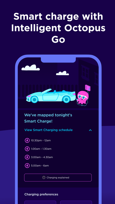 Octopus Energy screenshot 3
