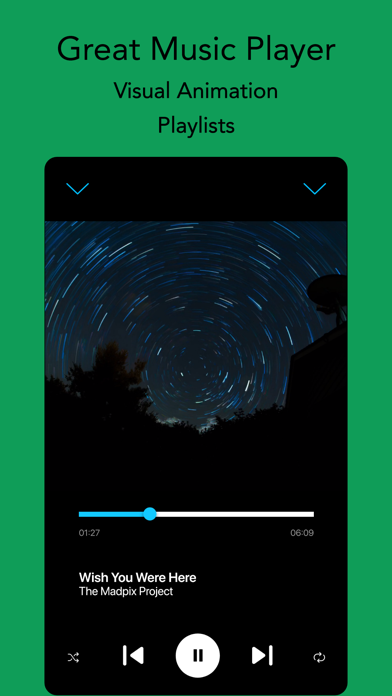 Offline Music ® screenshot 1