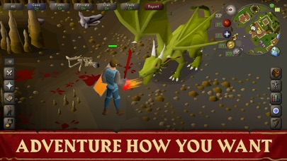 Old School RuneScape screenshot 3