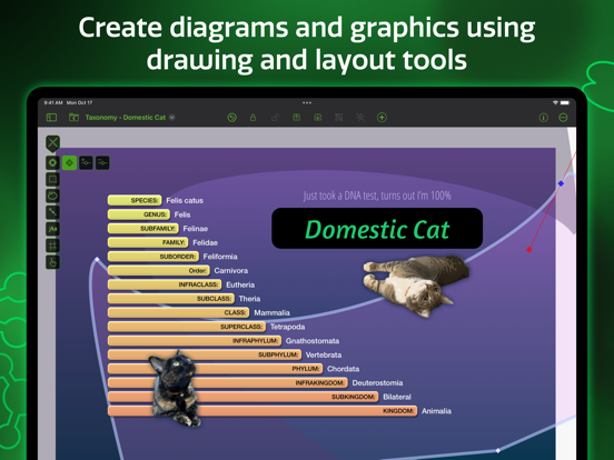 OmniGraffle 3 screenshot 9