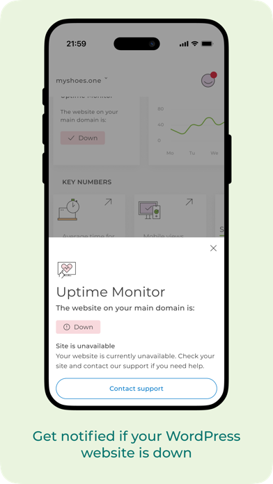 one.com Companion screenshot 3
