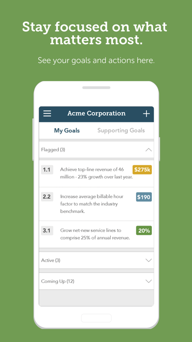 OnStrategy screenshot 4