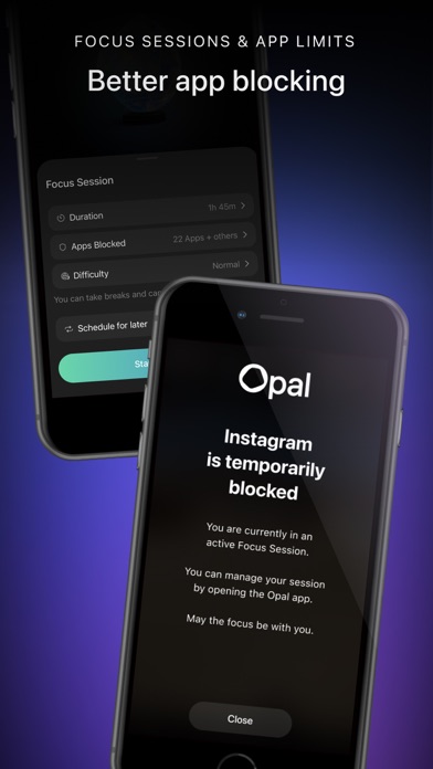 Opal: Screen Time Control screenshot 8