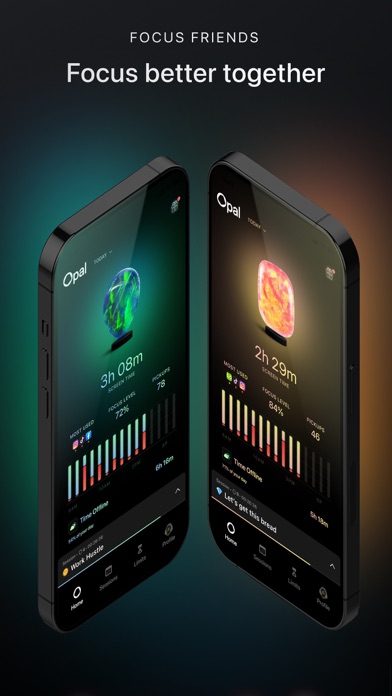 Opal: Screen Time Control screenshot 2