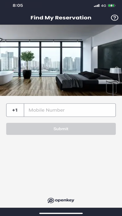 OpenKey screenshot 4