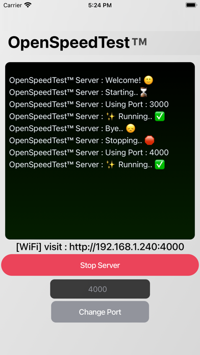 OpenSpeedTest-Server screenshot 3