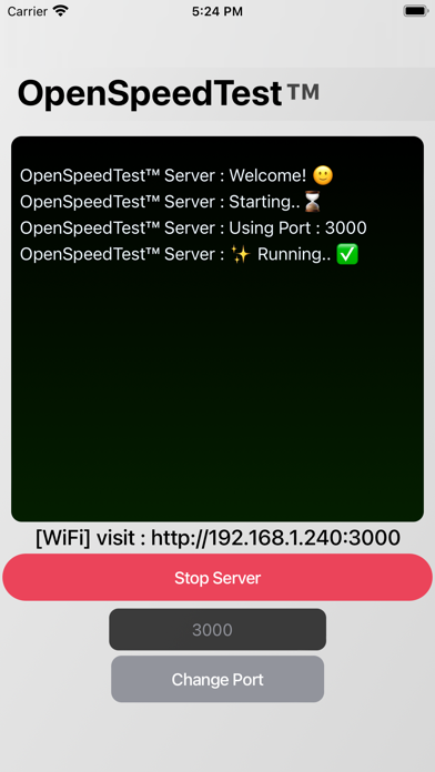 OpenSpeedTest-Server screenshot 4