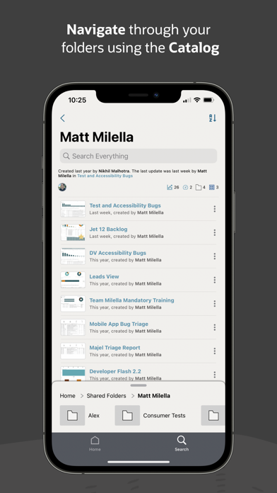 Oracle Analytics screenshot 4