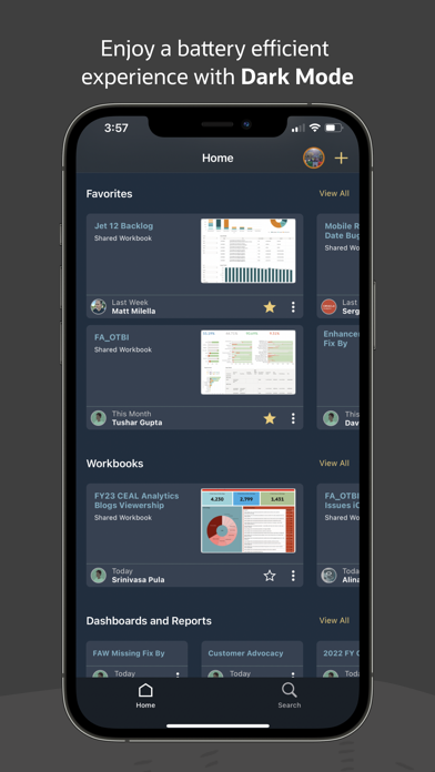 Oracle Analytics screenshot 1