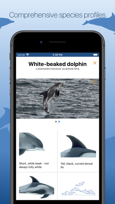 ORCA Oceanwatchers screenshot 3