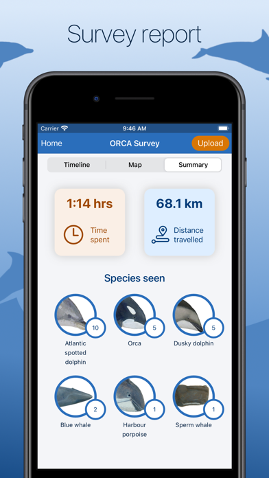 ORCA Oceanwatchers screenshot 4