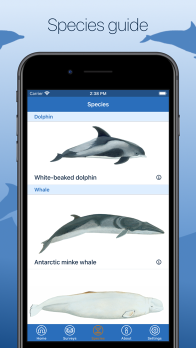 ORCA Oceanwatchers screenshot 2