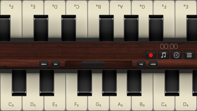 Organ screenshot 2
