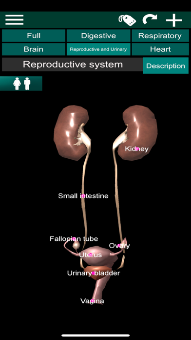 ORGANS 3D (ANATOMY) screenshot 4