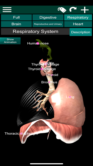 ORGANS 3D (ANATOMY) screenshot 6