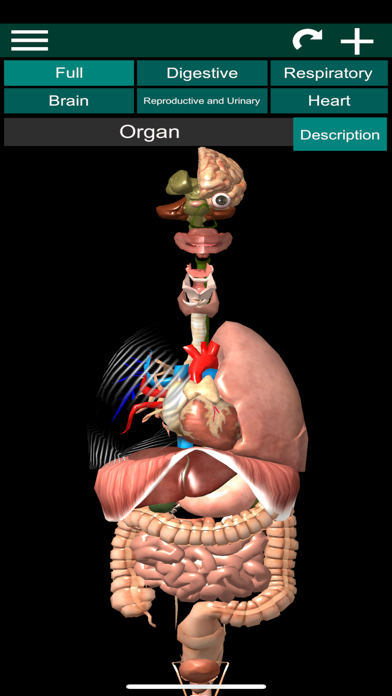 ORGANS 3D (ANATOMY) screenshot 7