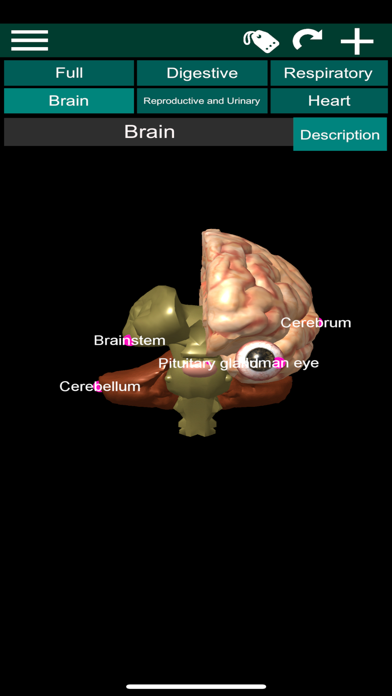 ORGANS 3D (ANATOMY) screenshot 5