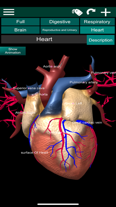 ORGANS 3D (ANATOMY) screenshot 3