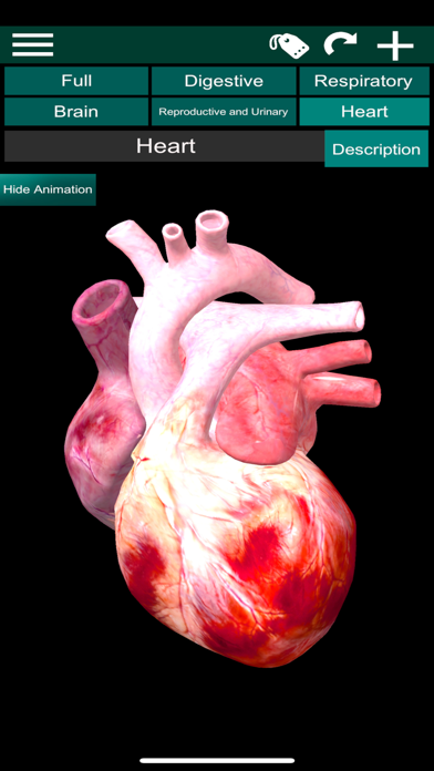 ORGANS 3D (ANATOMY) screenshot 2