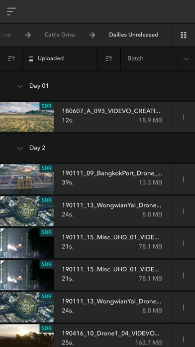 Originals Access screenshot 4