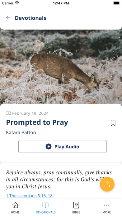Our Daily Bread screenshot 4