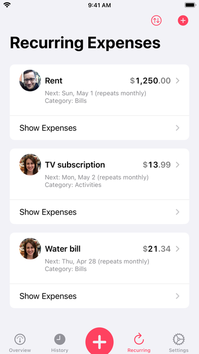 Our Expenses: Household Budget screenshot 4