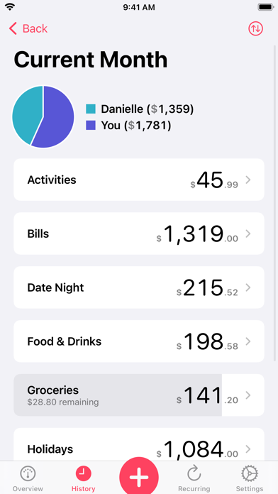 Our Expenses: Household Budget screenshot 5