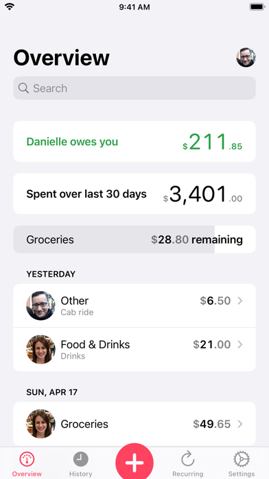 Our Expenses: Household Budget screenshot 8