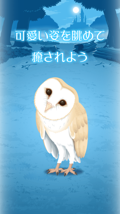 Owl Simulation Game screenshot 1