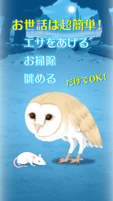 Owl Simulation Game screenshot 2