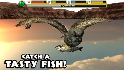 Owl Simulator screenshot 4