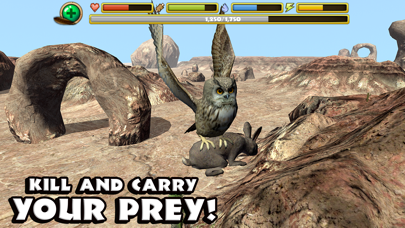 Owl Simulator screenshot 1