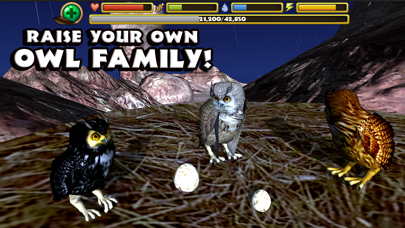 Owl Simulator screenshot 3