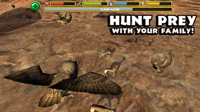 Owl Simulator screenshot 2