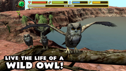 Owl Simulator screenshot 5