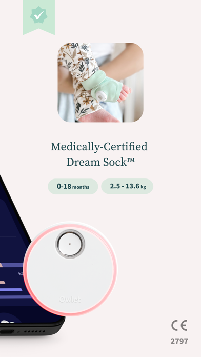 Owlet Dream screenshot 6